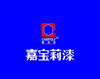 瓷砖粘结剂什么牌子好？瓷砖粘结剂品牌有哪些？(图6)