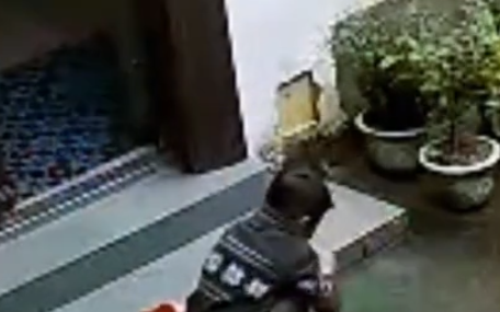 男孩在家门口奔跑时不慎滑倒孩子妈把发给公公后爷奶二话不说直接砸掉瓷砖(图1)