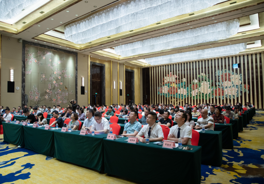 重磅头条高德瓷砖品牌国际化暨2024新品发布会盛大举行(图1)