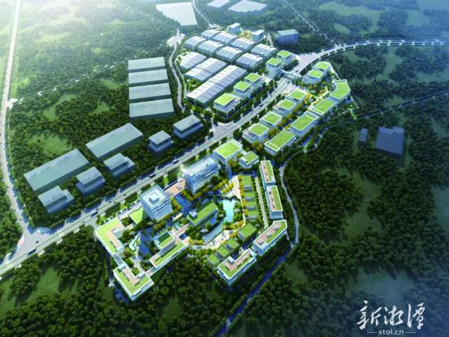 奋进强国路阔步新征程丨雨湖高新区高质量推动经济发展纪实(图7)