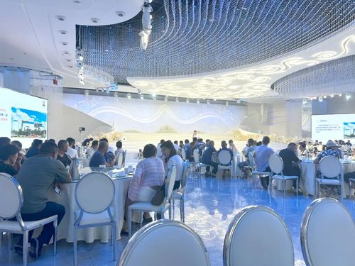 星店开业圣堡龙陶瓷永城旗舰店第二分店盛大启航(图6)