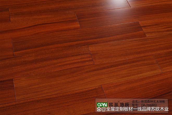 中国地板行业的十大领航品牌(图5)