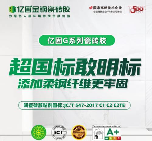 2025年亿固集团年度盛典邮轮之旅即将启幕(图2)