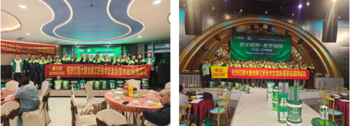 2025年亿固集团年度盛典邮轮之旅即将启幕(图13)