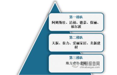 中国弹性地板行业发展分析与投资前景研究报告（2024-2031年）(图8)