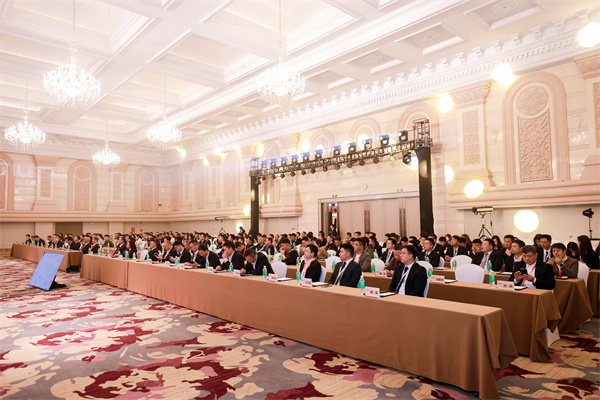星·岩新境野·奢无界----QD瓷砖2025新品品鉴会(图3)