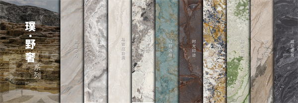 星·岩新境野·奢无界----QD瓷砖2025新品品鉴会(图8)
