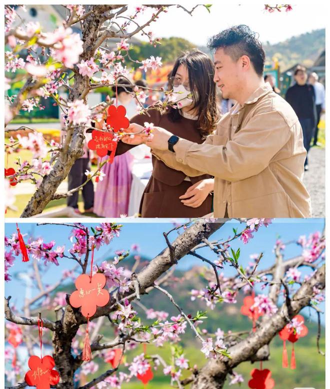 乐购畅游嗨……胶北桃花季即将盛大开幕！时间就在→(图7)