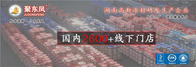 从初创到崛起湖南聚东凤涂料科技的发展密码(图1)