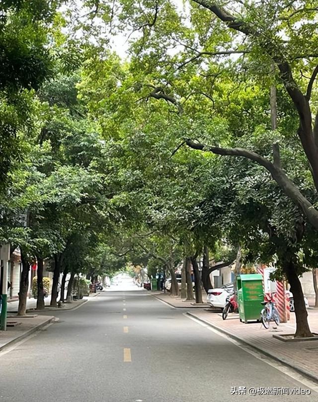 租房怕踩坑？一文说清自如怎么样——从解约到居住全省心(图1)