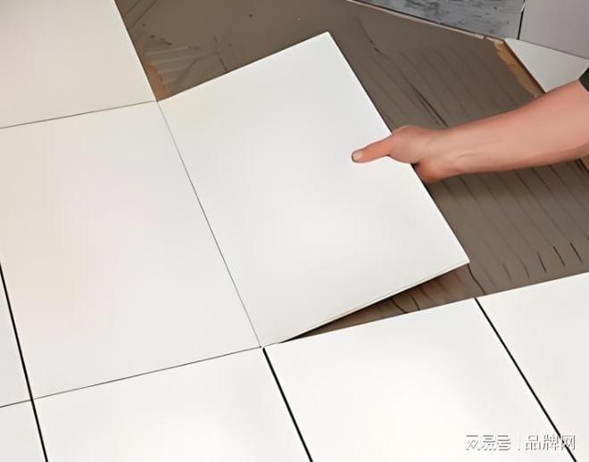 最新瓷砖胶十大品牌口碑好的瓷砖胶品牌推荐(图2)