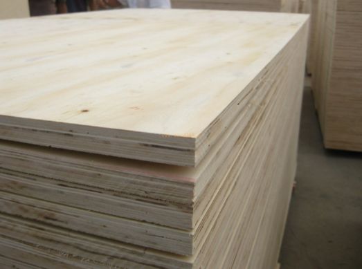 石膏板生产厂家推荐泉州新狮龙建材专业制造瓷砖胶与胶合板(图2)