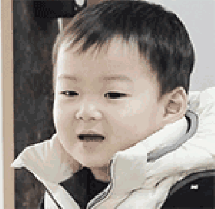 区政府广场免费领鸡蛋听说跟爱情有关(图1)