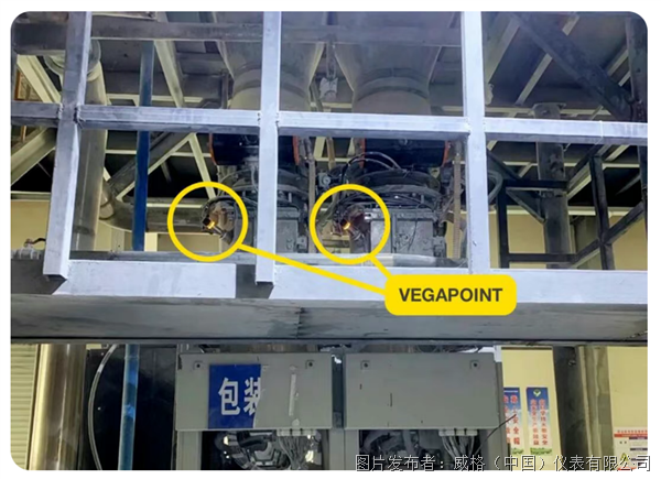 自动包装机料位检测既要快又要准？试试VEGA电容开关(图3)